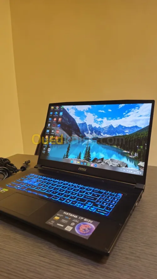 Pc portable MSI KATANA 17 B13V 