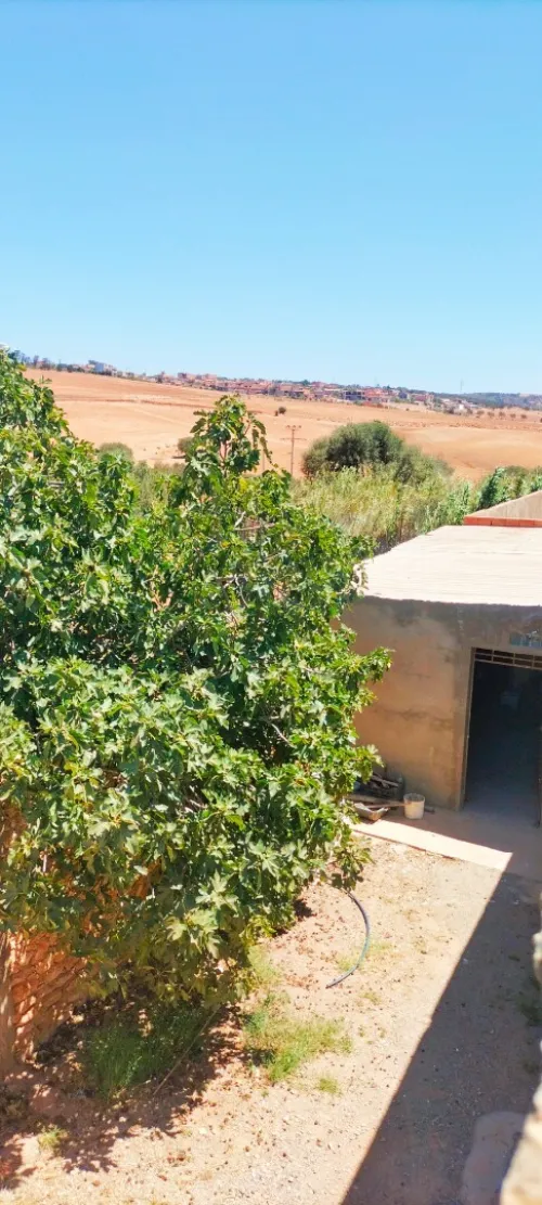 Vente Villa Aïn Témouchent Hassi el ghella