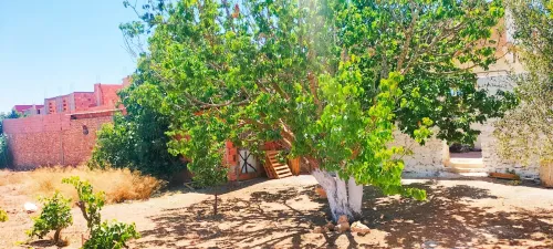 Vente Villa Aïn Témouchent Hassi el ghella