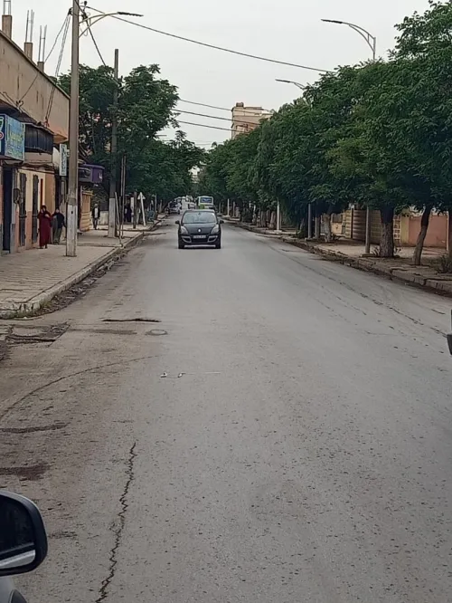 Vente Local Sidi Bel Abbès Sidi bel abbes