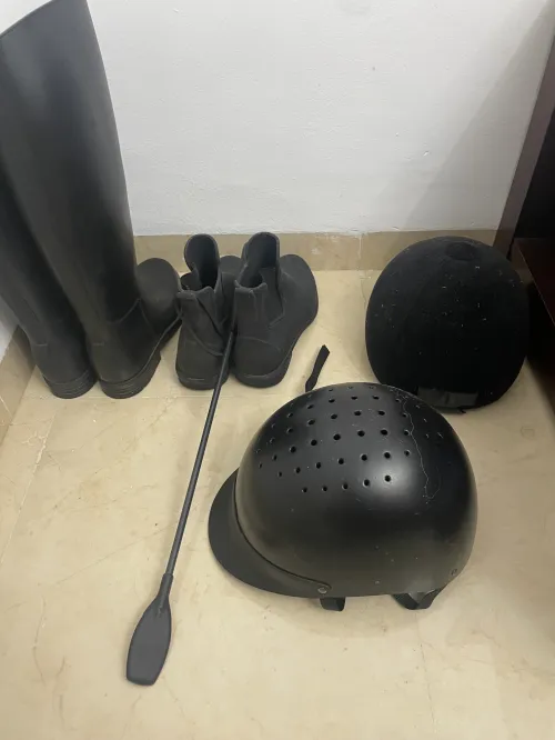Équipement équitation