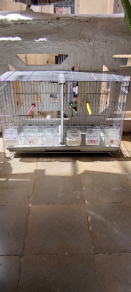 Vend Cage séparation