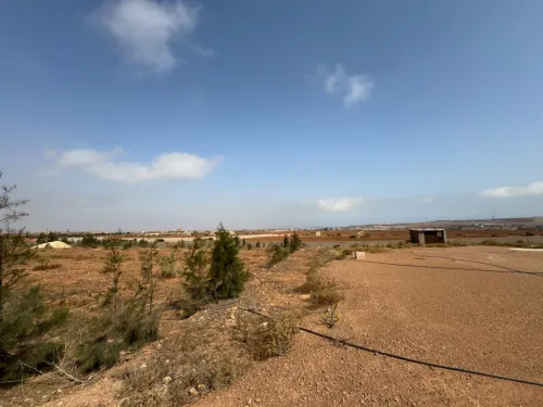 Vente Terrain Oran Bethioua