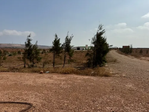 Vente Terrain Oran Bethioua