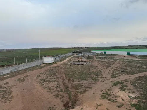 Vente Terrain Agricole Aïn Témouchent Bou zedjar