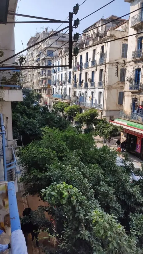 Location Appartement F4 Alger Alger centre