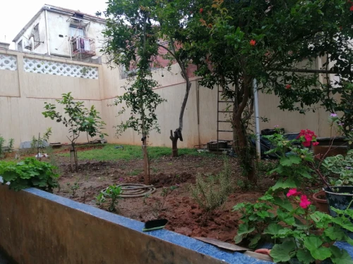 Location vacances Appartement F2 Alger Ain taya