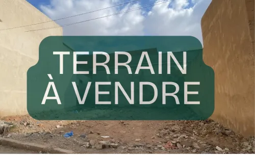 Vente Terrain Mostaganem Mostaganem