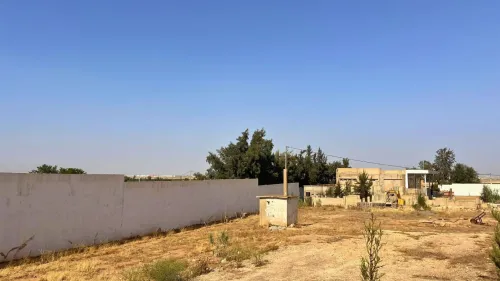 Vente Terrain Agricole Relizane Sidi khettab
