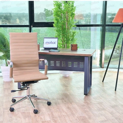 Chaise bureau NOBLE fauteuil PDG beige de la marque Mobix dz