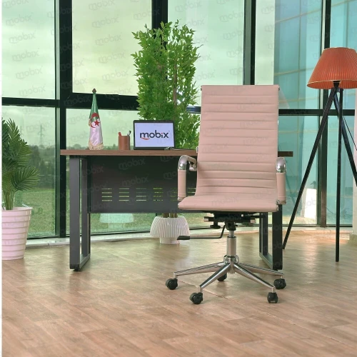 Chaise bureau NOBLE fauteuil PDG beige de la marque Mobix dz