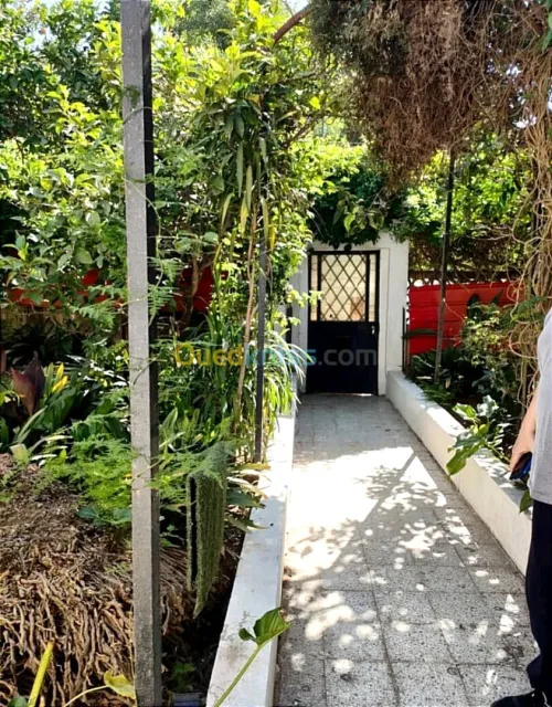 Vente Villa Alger Bouzareah