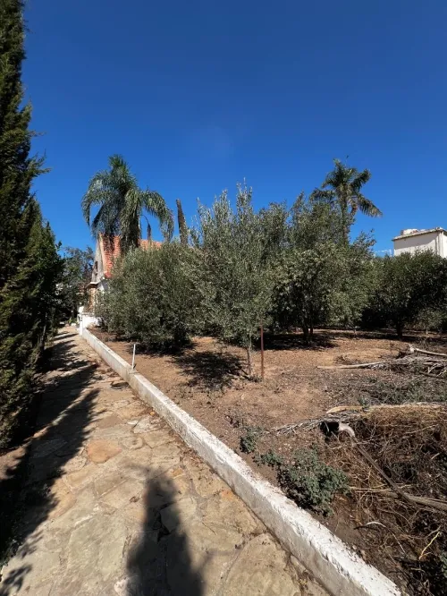 Vente Villa Blida Beni mered
