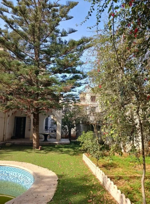 Vente Villa Alger Dely brahim