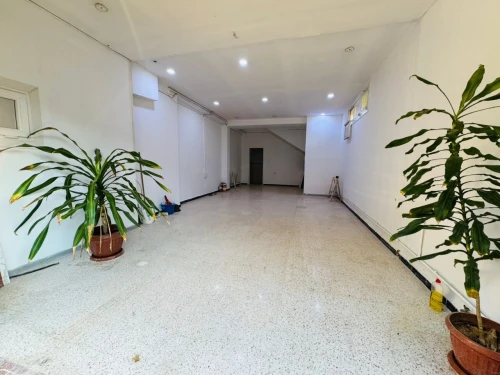 Location Villa Alger Staoueli