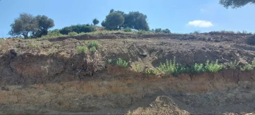 Vente Terrain Jijel El aouana