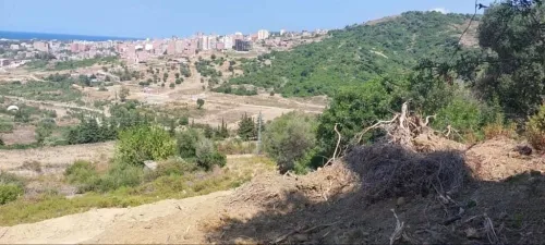 Vente Terrain Jijel El aouana
