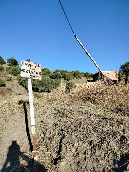 Vente Terrain Blida Djebara