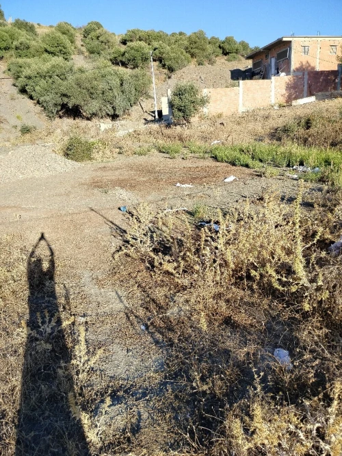 Vente Terrain Blida Djebara