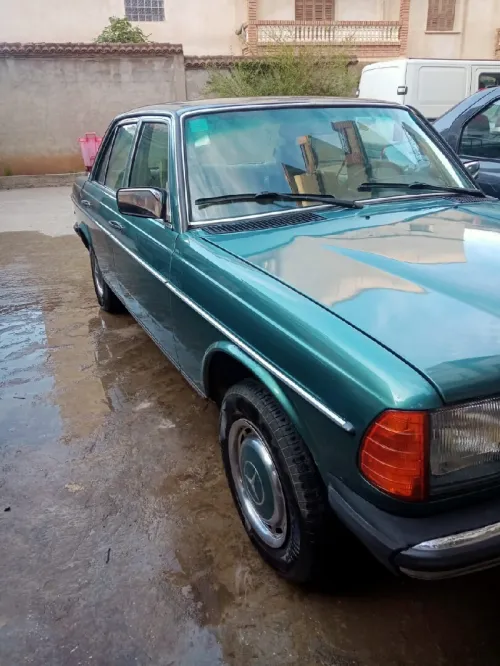 Mercedes W123 1983 