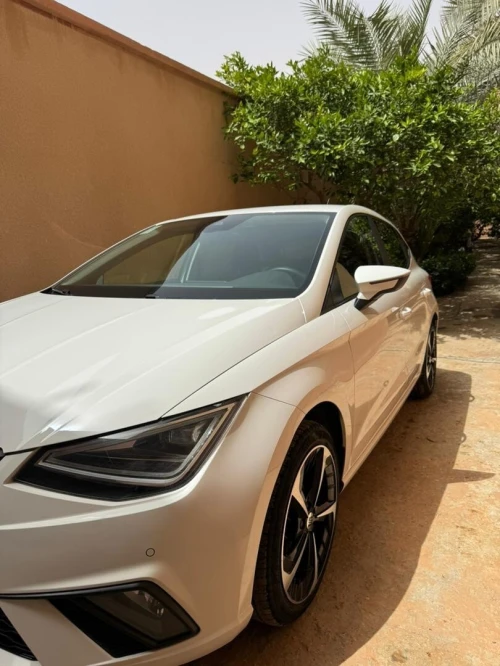Seat Ibiza 2023 Style