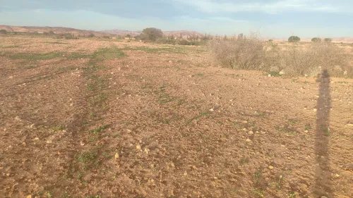 Vente Terrain Agricole Mascara Ain fras