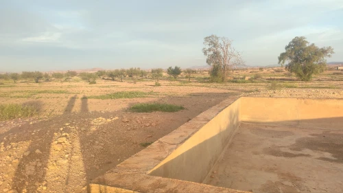 Vente Terrain Agricole Mascara Ain fras