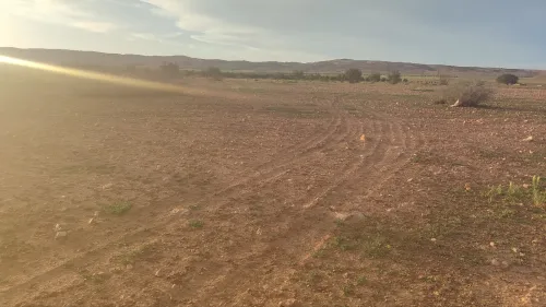 Vente Terrain Agricole Mascara Ain fras