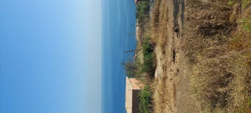 Vente Terrain Tipaza Tipaza