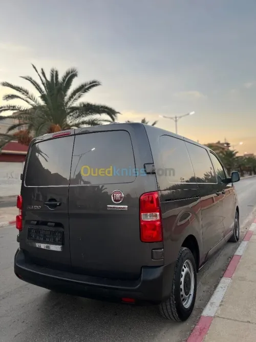 Fiat Scodu 2024 