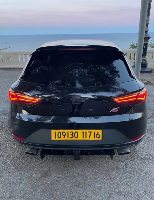 Cupra  300 2017 
