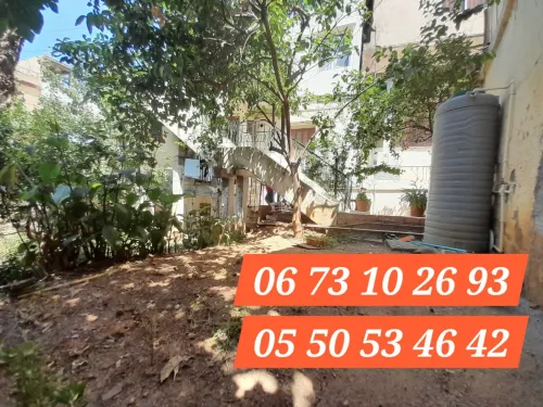 Vente Terrain Alger Bachdjerrah
