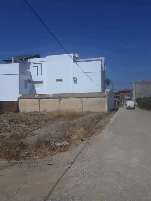 Vente Terrain Blida Blida