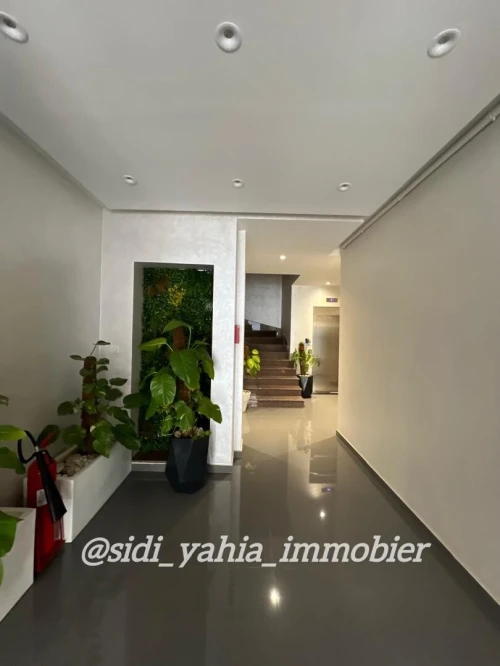Location Appartement F4 Alger Hydra