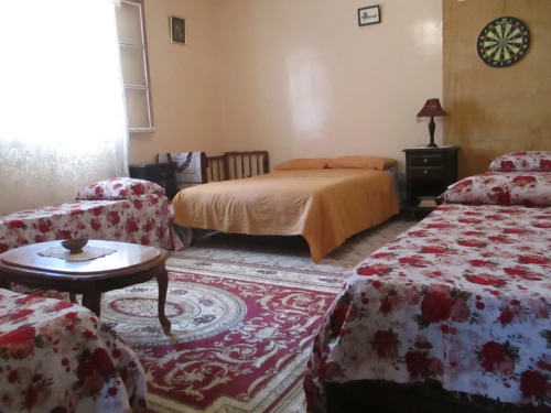 Location Appartement Studio El Tarf El kala
