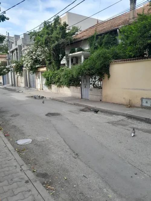Vente Villa Blida Blida