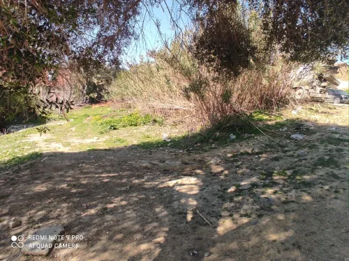 Vente Terrain Alger Douera