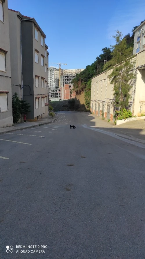 Vente Appartement F3 Béjaïa Bejaia