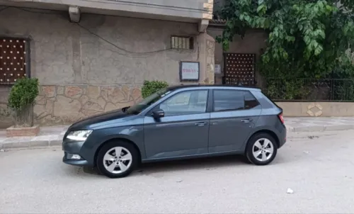 Skoda Fabia 2019 Monte Carlo