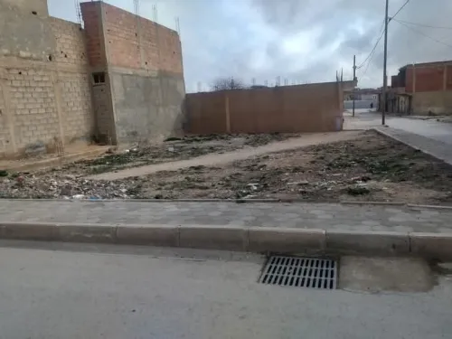 Vente Terrain Tébessa Bir el mokadem
