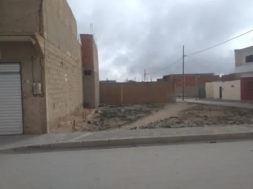 Vente Terrain Tébessa Bir el mokadem