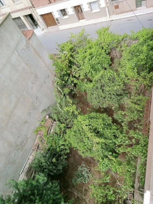 Vente Villa Mostaganem Hassi maameche