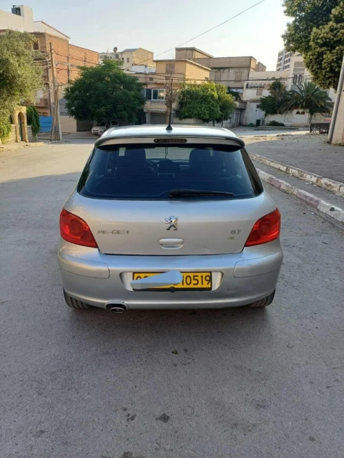 Peugeot 307 2005 307 idision spisial