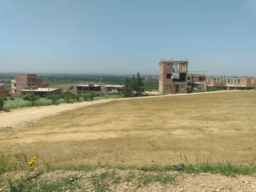 Vente Terrain Blida Bougara