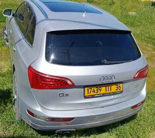 Audi Q5 2011 Off Road