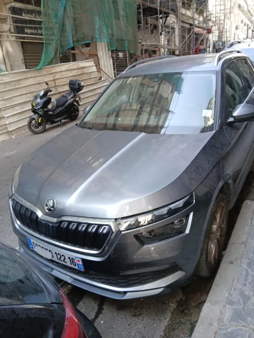 Skoda Kamiq 2022 Clever
