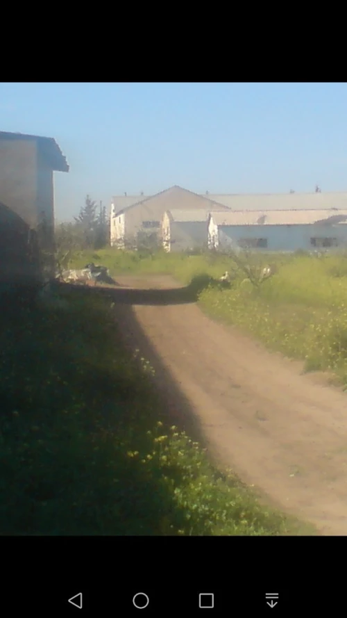 Location Hangar Mostaganem Ouled el kheir