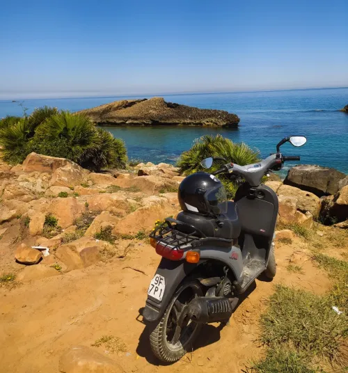 Piaggio Free 