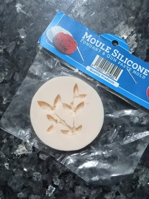 Moules en silicone