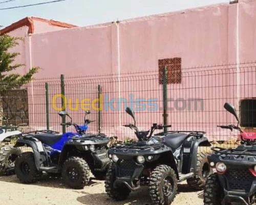 Vms linhai Quad 150 2022